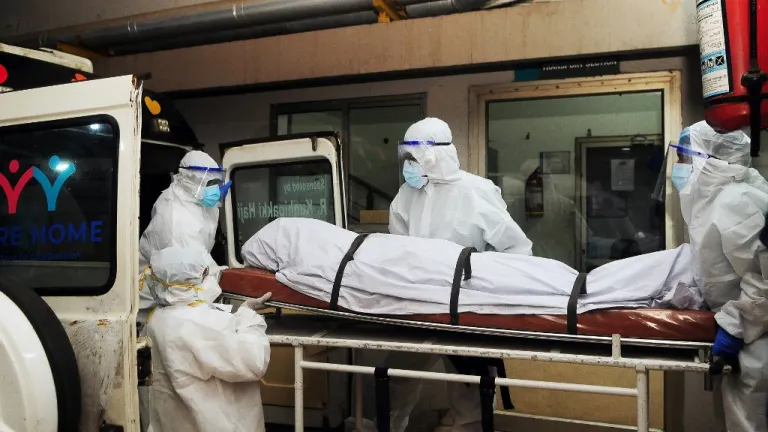 virus Nipah en India: qué es, síntomas y cómo se transmite