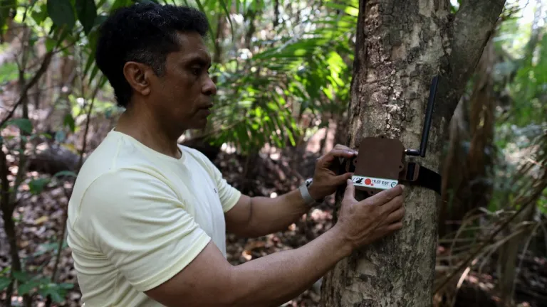 Inteligencia artificial para luchar contra la deforestación | Amazonía