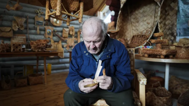 Artista transforma la corteza de abedul en arte en Finlandia 