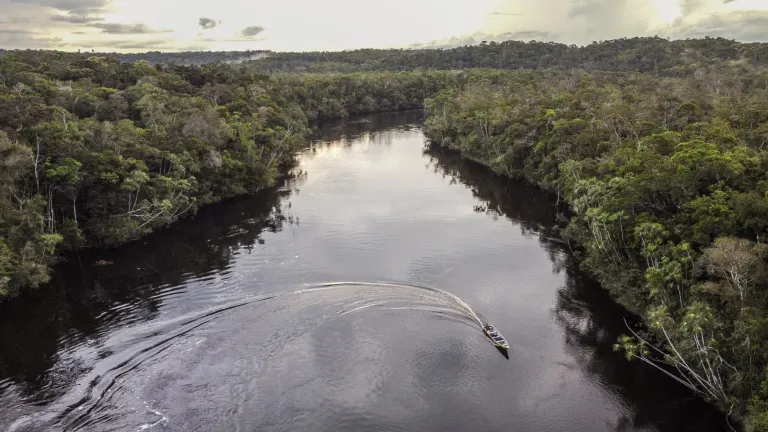 Amazonas: Indígenas ganaron pleito por bonos de carbono