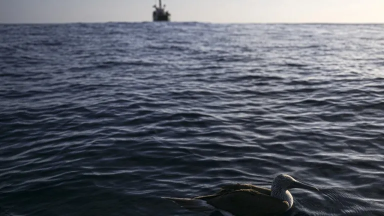Galápagos: reserva marina en altamar | Greenpeace