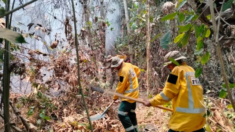 Incendios forestales Bolivia: afectaciones, cuántos casos
