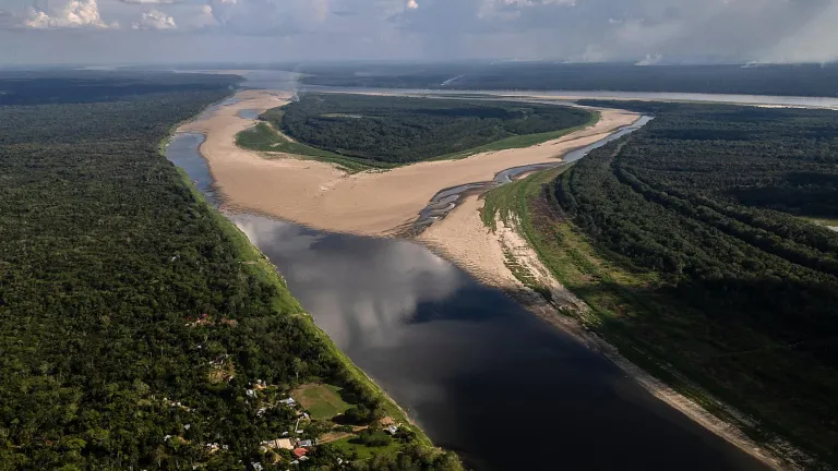 COP16: Inversión de 75 millones de dólares para la conservación de la biodiversidad y lucha contra la deforestación en Colombia