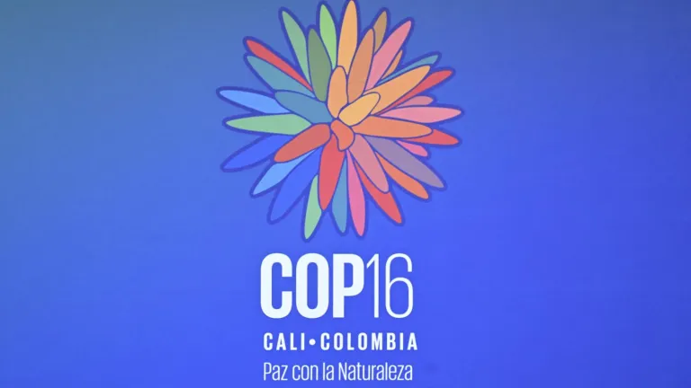 COP16 Inauguración HOY 20 de octubre: dónde ver por RTVC, horario