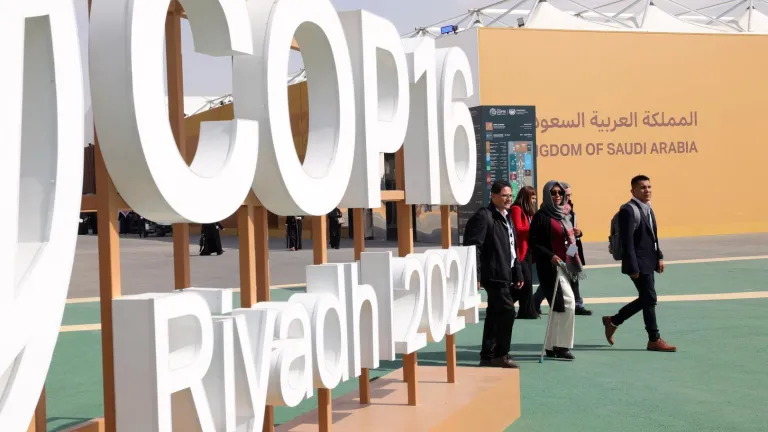 La COP16 concluye sin acuerdo vinculante sobre la sequía