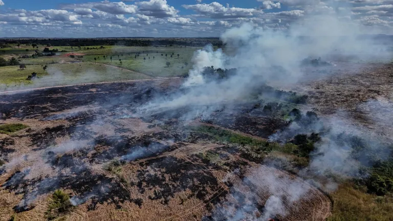 Día Internacional contra el Cambio Climático: rumbo a la COP30 en Brasil