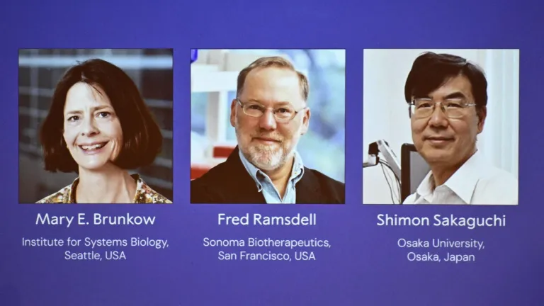Premio Nobel de Medicina 2025 premia hallazgos sobre el control del sistema inmunitario