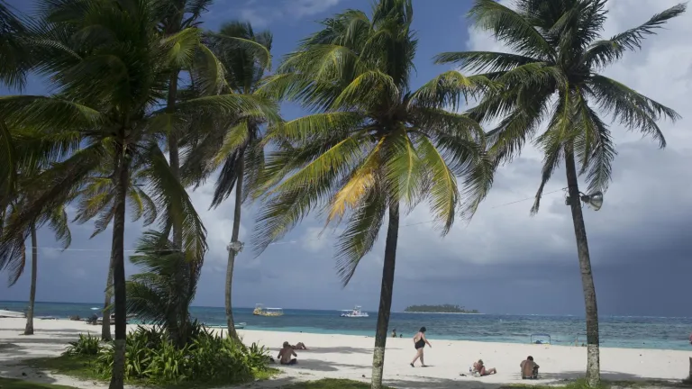 Fiestas de San Andrés 2024: historia y origen 