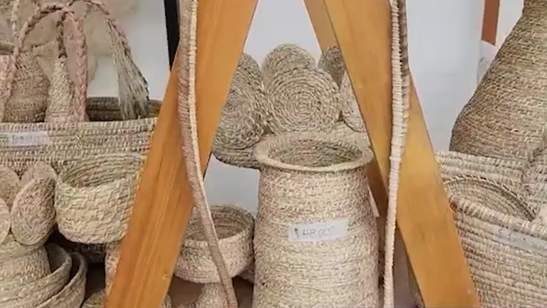 Jóvenes Ciencia para la Paz Tumaco: emprendimiento Eimar Arte, Innovación