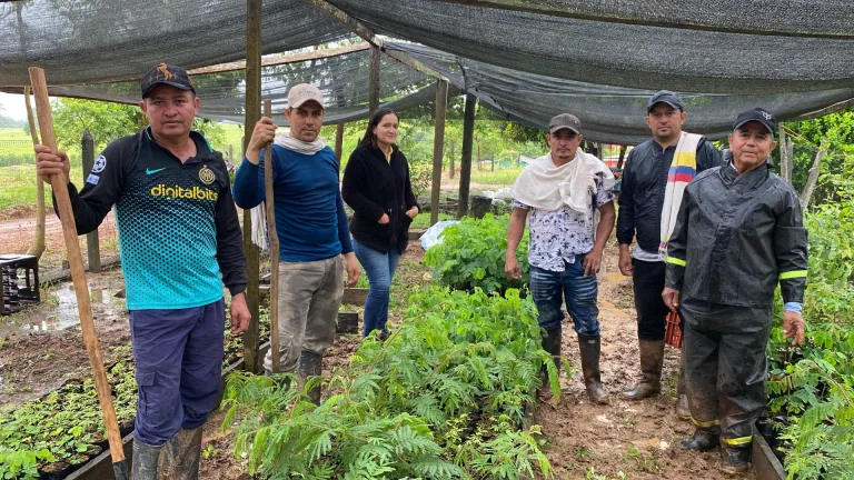 Día Mundial del Medio Ambiente: viverismo en San Vicente 