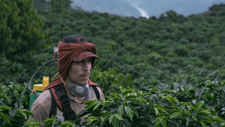 La Roya, la nueva película de Juan Sebastián Mesa, abrirá el Ficci 2022
