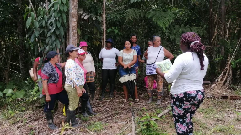 Mujeres de Leguízamo, Putumayo, cultivan especies de frutos amazónicos