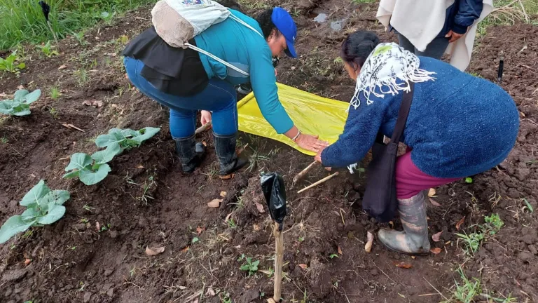 Mujeres campesinas en Colombia: la asociación Renacer en Putumayo