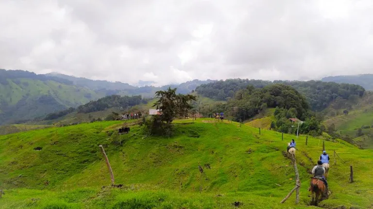 Calamidad pública en municipio de Tolima por Fenómeno de El Niño