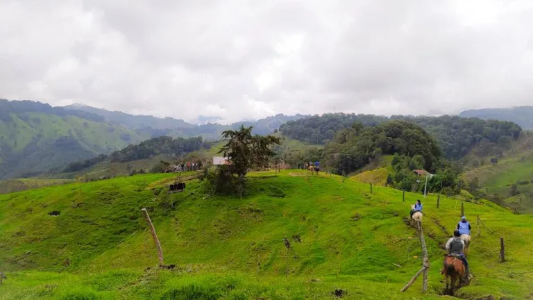 Calamidad pública en municipio de Tolima por Fenómeno de El Niño