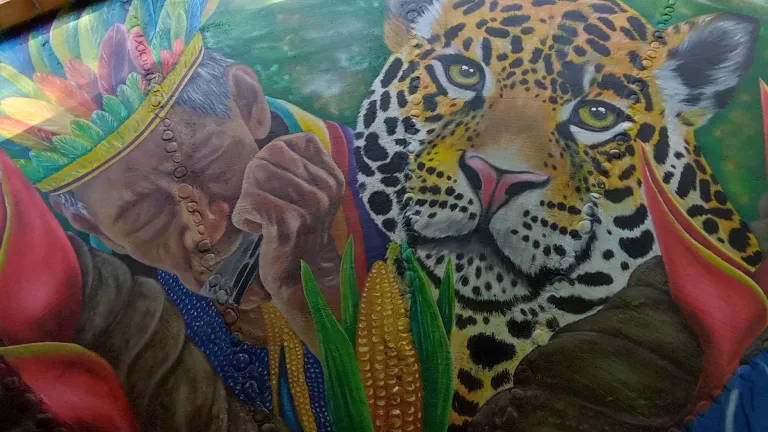 Biodiversidad de Colombia y las expresiones artísticas en Putumayo