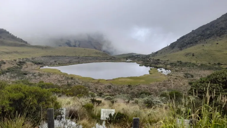 Nevado del Ruiz: daños de la flora y fauna por erupción del volcán