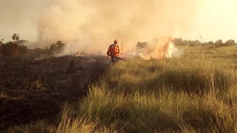 Meta en alerta roja ante el riesgo de incendios forestales por fenómeno de El Niño