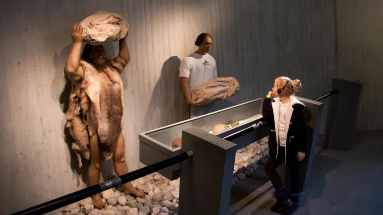 Neandertales cazaban elefantes: estudio