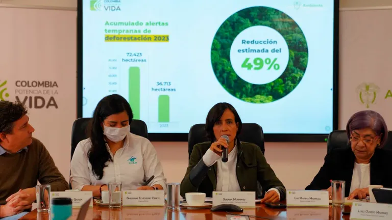Deforestación en Colombia: cifras disminución 2023 