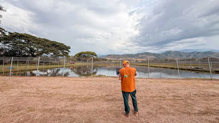Campesinos de Tuluá reciben tierras de alias ‘Don Diego’ para agricultura