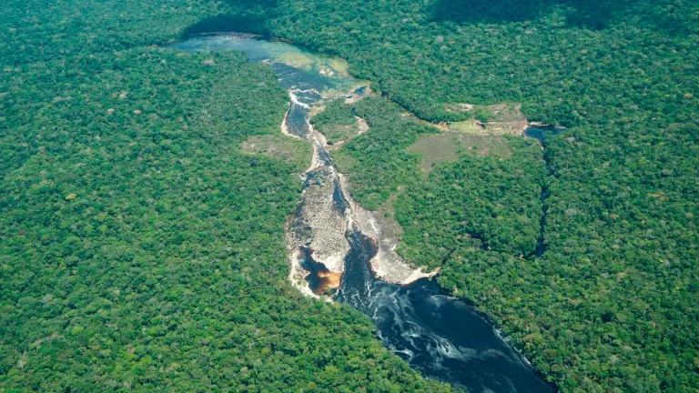 Guardiana de Chiribiquete: la nueva zona de reserva campesina en Guaviare