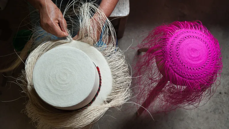 Sombreros de iraca: artículo de Sandoná | Artesanías colombianas