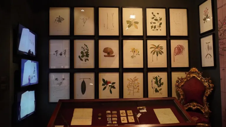 “Mutis, la expedición continúa”: Fechas y eventos | Museo de Antioquia 