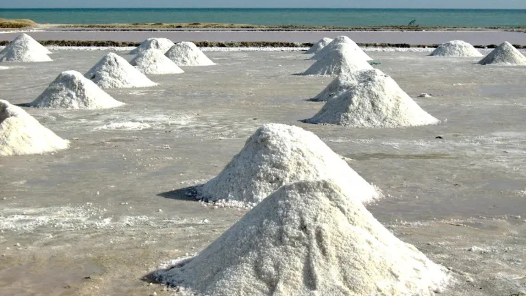 Ley para salvar y reactivar las Salinas Marítimas de Manaure es aprobada en el Congreso 