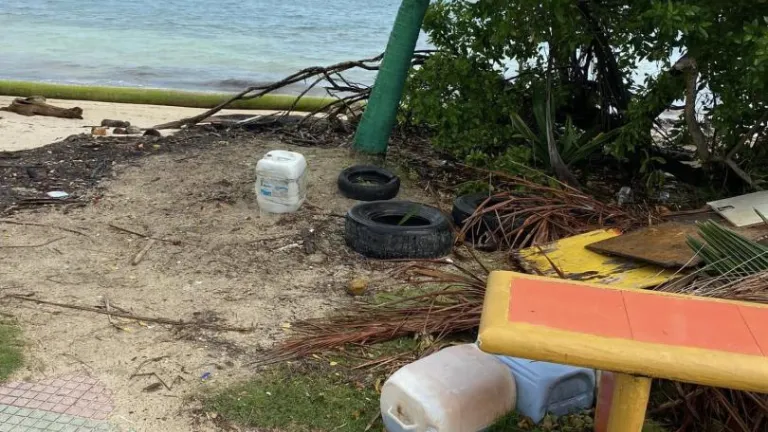 Ambientalistas en San Andrés piden proteger el medio ambiente