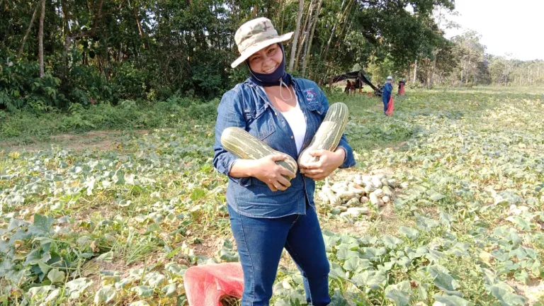 Mujeres víctimas del conflicto cultivan ahuyama en Castilla la Nueva, Meta