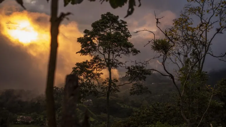 Incendios forestales en Colombia: cuántos han ocurrido 2024