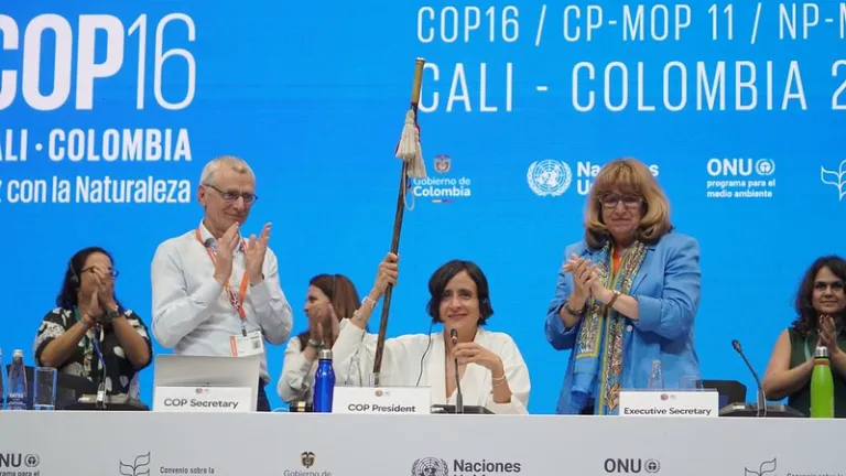 COP16: logros y cifras históricas 