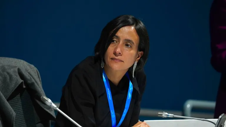 COP29: Colombia propone reforma financiera y alivio de deuda por 10 años para enfrentar desastres naturales