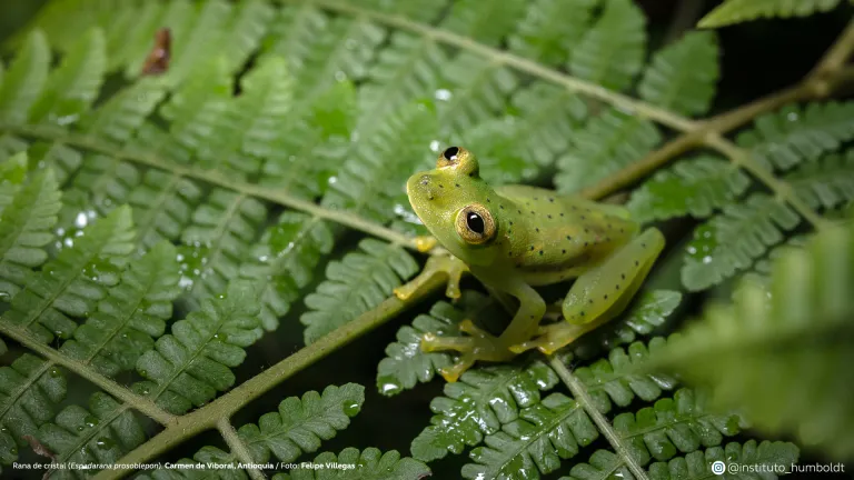 Fotografía: 15 postales que exaltan los recursos naturales del país