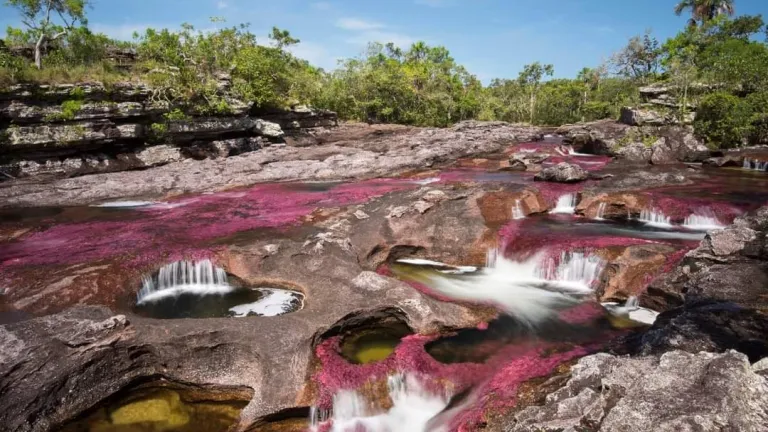 Cormacarena ordenó el cierre de visitas a Caño Cristales