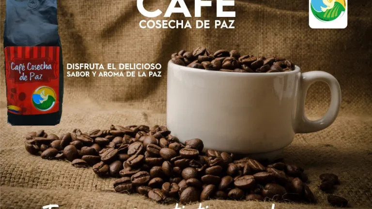 Café colombiano | Iniciativas de reincorporados en el Valle del Cauca
