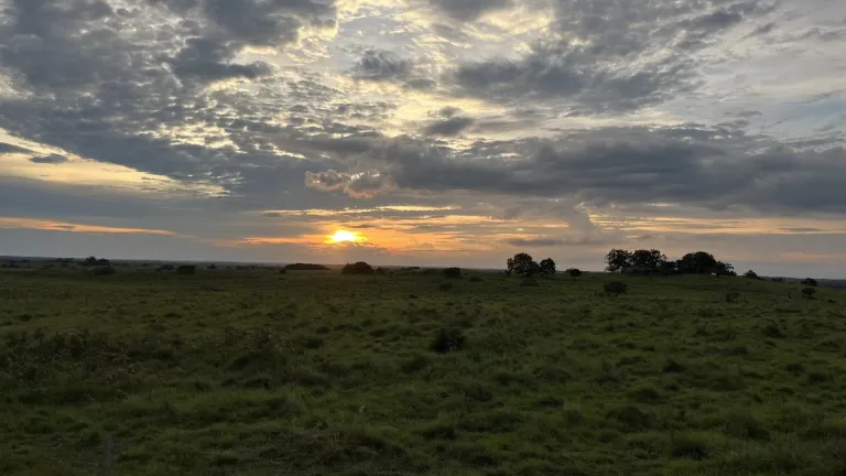 Caminos del Yarí impulsa turismo y paz en Meta y Caquetá