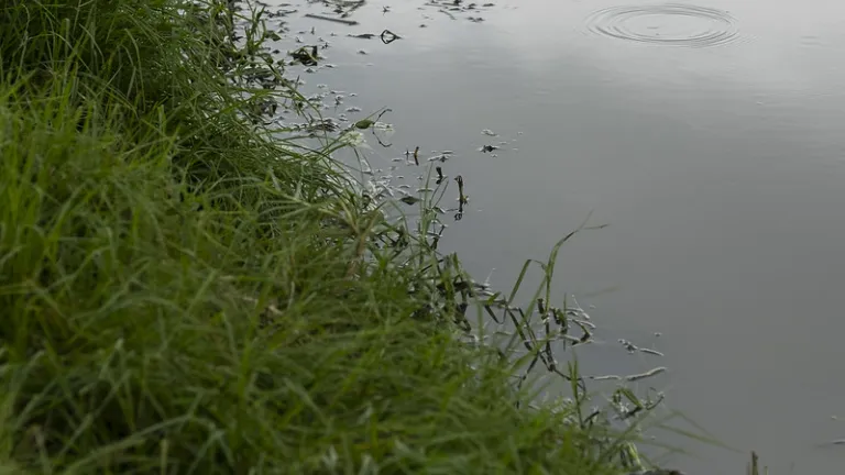 Recomendaciones para cuidar el agua