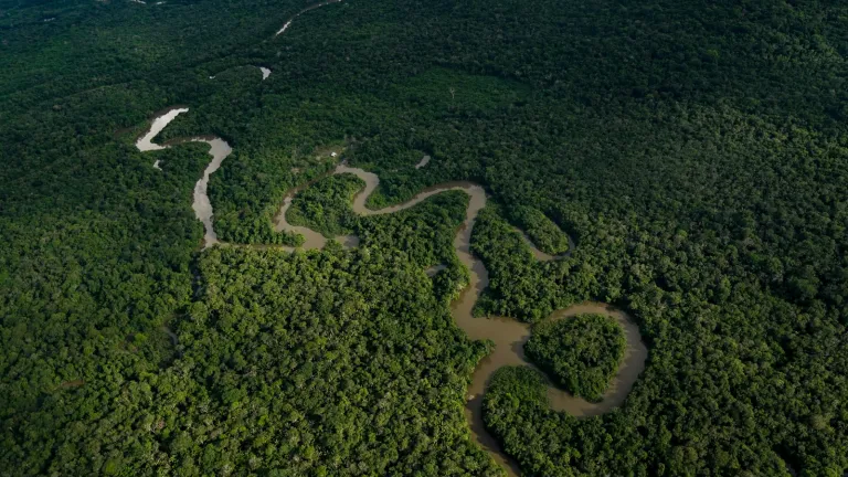 Amazonía: exfuncionarios de Corponariño, fueron capturados