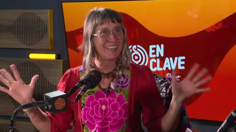 Cinco grabaciones de Andrea Echeverri que quizás no conocías
