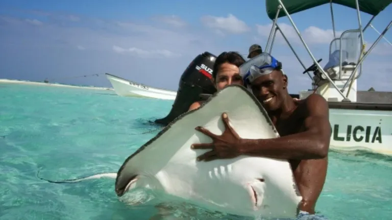 Raya en San Andrés