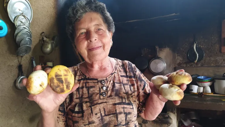 Día Mundial de la Arepa: alimento preferido por los colombianos 