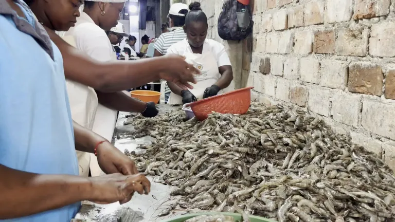 Asomefama emprendimiento Tumaco 