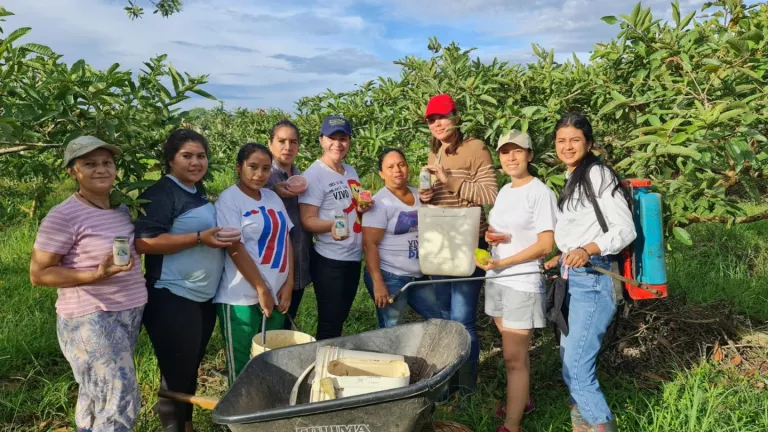 Vino de guayaba en el Meta: así lo producen en Fuentedeoro