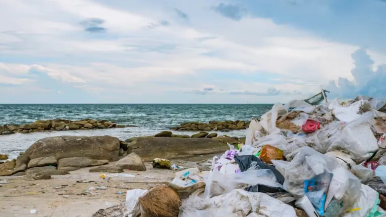 Los culpables de que tanta basura de las playas acabe en el océano no son los turistas, somos todos