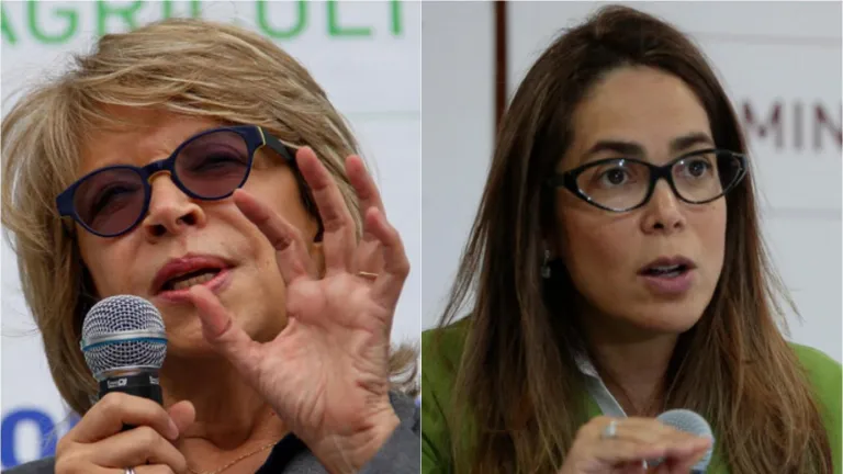 Exministras Cecilia Álvarez y Gina Parody