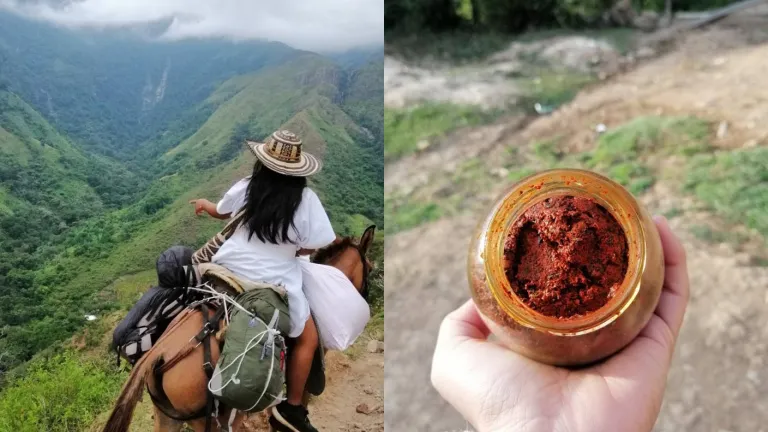 Sierra Nevada de Santa Marta | Una expedición de la gastronomía arhuaca
