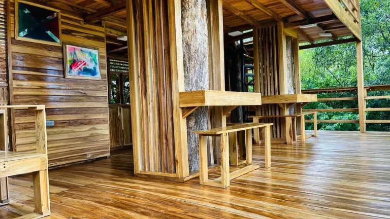 Casa en el árbol