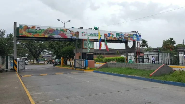 Alimentos
